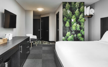 West coast-inspired suite with forest artwork and minimalist design