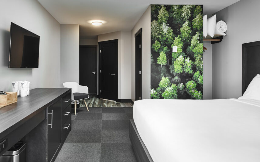 West coast-inspired suite with forest artwork and minimalist design