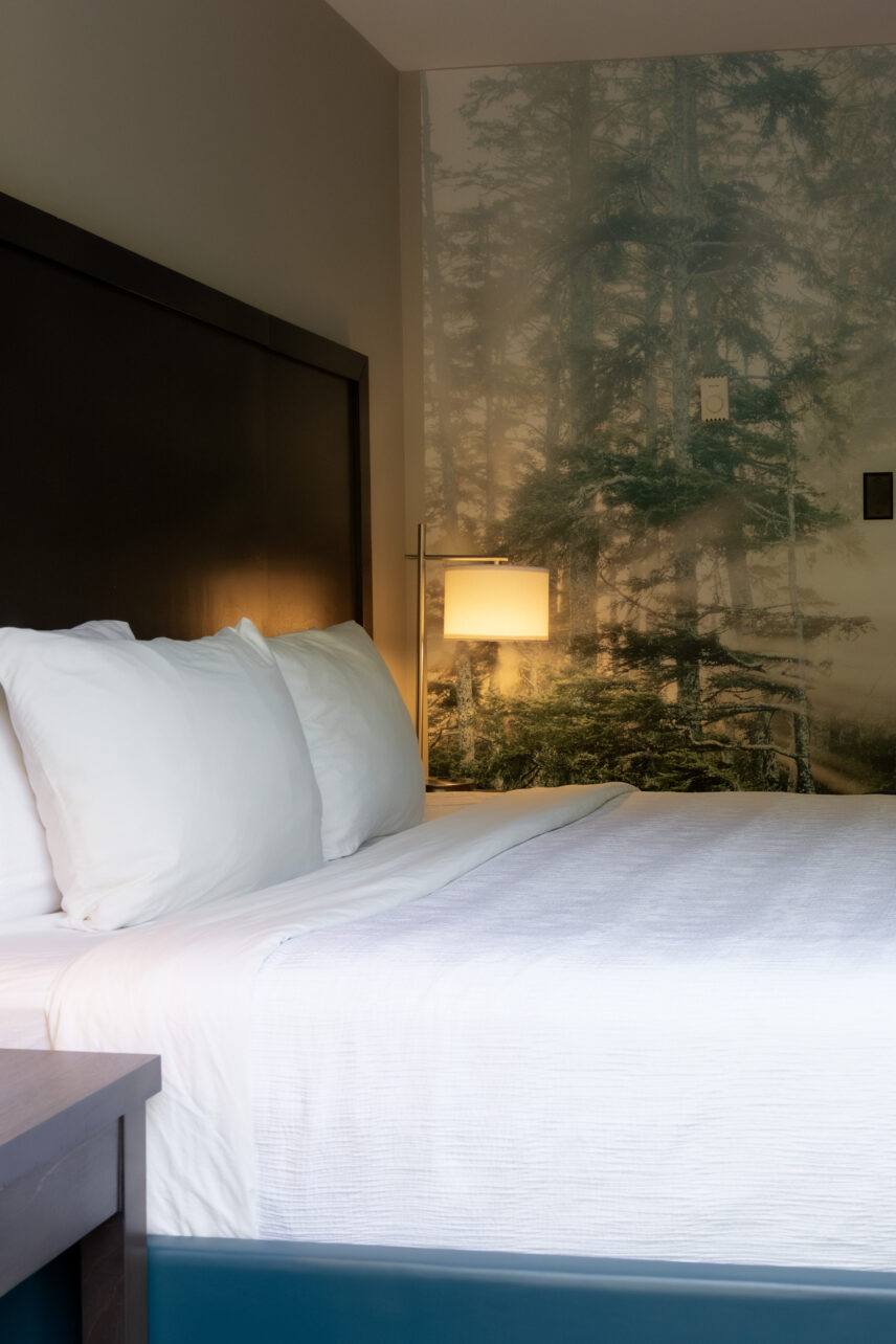 Tofino hotel room with king bed and natural lighting featuring local nature art