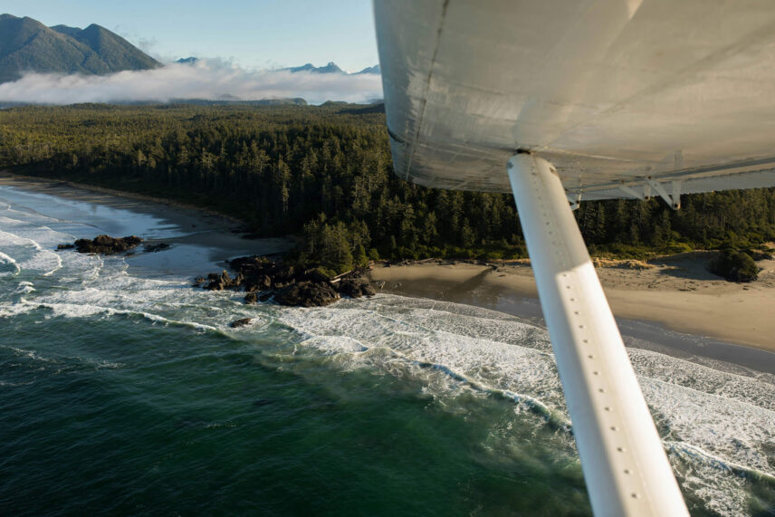 A stunning aerial view from a seaplane showcasing the marina and beach below