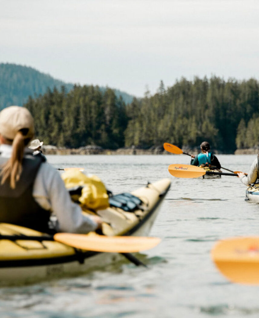 Guests kayaking in Tofino’s inlet with scenic mountain views in the background