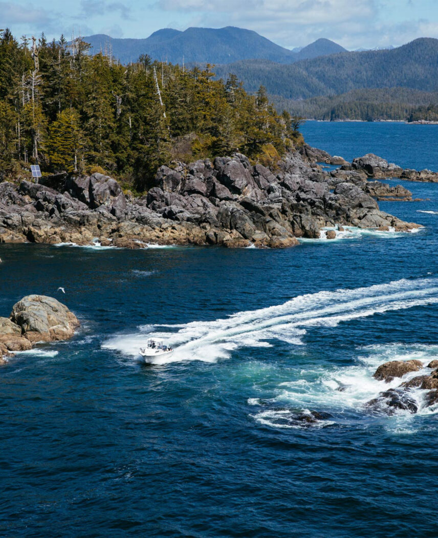 Drone shot of a boat on Tofino’s ultimate adventure tour, exploring the rugged coastline