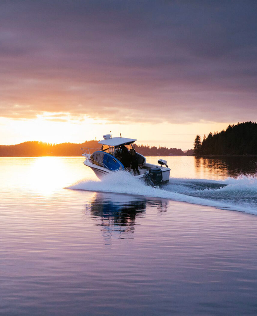 Boat cruising into a golden Tofino sunset with glowing skies and ocean reflections