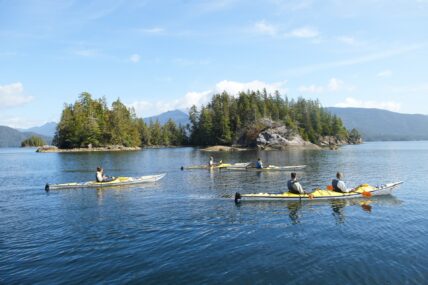 Small group sea kayaking through coastal waters surrounded by rainforest