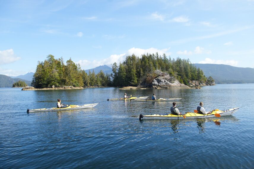 Small group sea kayaking through coastal waters surrounded by rainforest