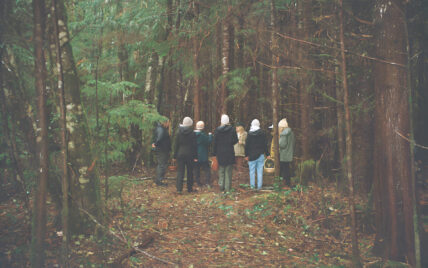 People walking through an old-growth forest in Tofino during fall