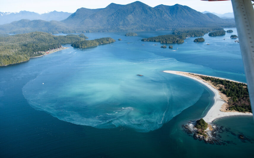 Drone photo showing turquoise-blue water during herring spawn near Tofino