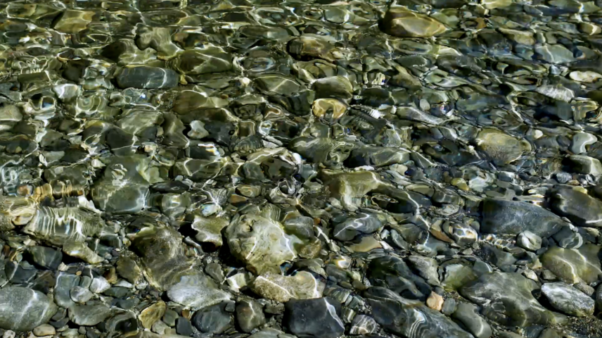 Aerial footage of rivers, ocean, and forests in Clayoquot Sound, British Columbia