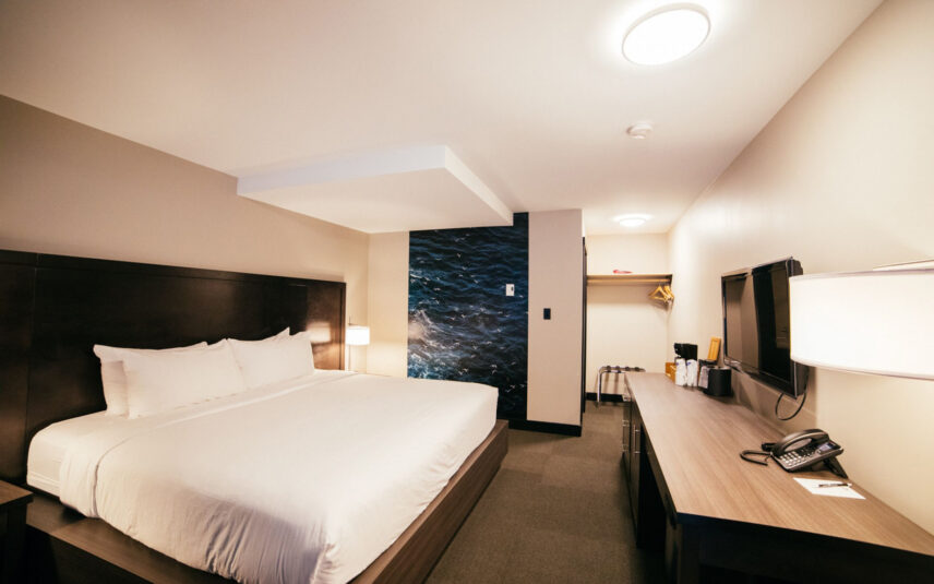 Hotel room with king bed, nature-themed wall art, and cozy lighting