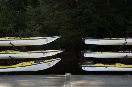 Brightly coloured yellow sea kayaks lined up on the dock, ready for a Tofino paddling adventure