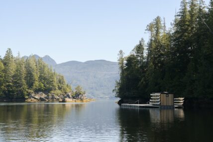 Kayak dock framed by forested shoreline and wide-open views of the inlet