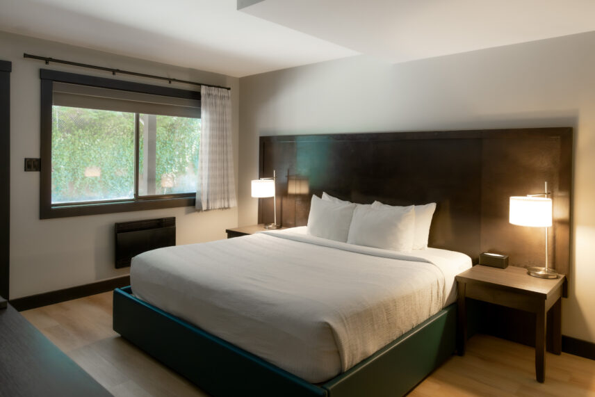 Hotel room with king bed, nature-themed wall art, and cozy lighting