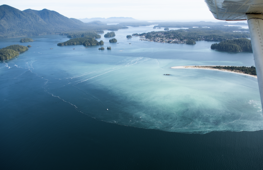 Aerial shot of Clayoquot Sound with cloudy teal patches from herring spawn