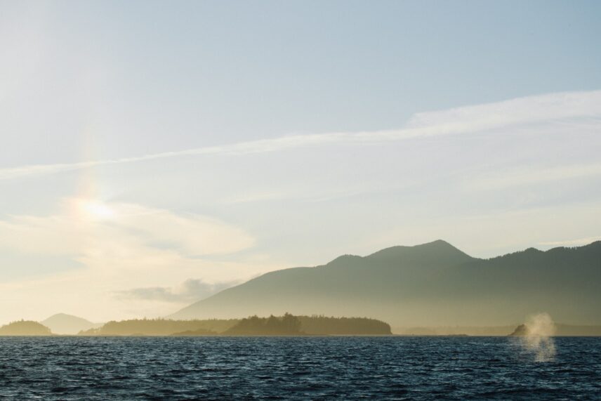 Serene view of the forest and water in Clayoquot Sound, a UNESCO Biosphere Region
