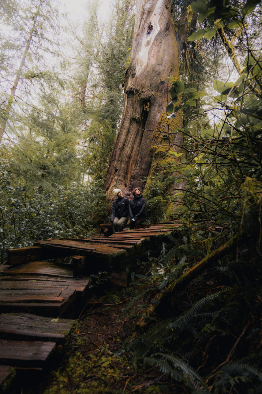 Two women sitting peacefully on the moss-covered boardwalk in a forest of towering trees on Meares Island