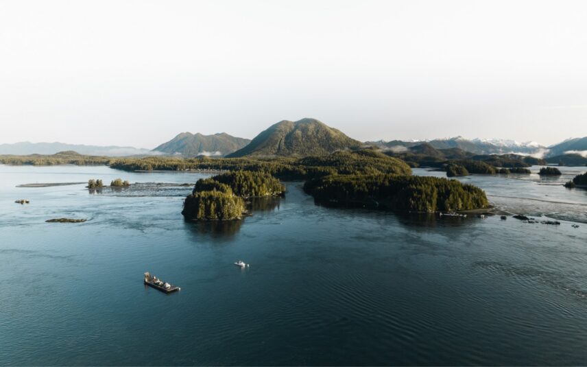 Aerial view of Clayoquot Sound with forested coastline and open ocean