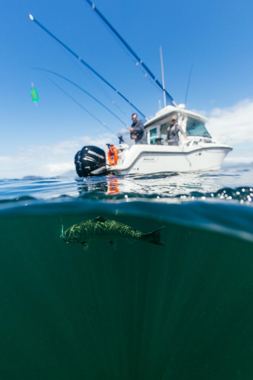 A split shot of a fish underwater with a fishing boat floating above