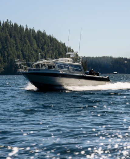 Boat on the Tofino Inlet
