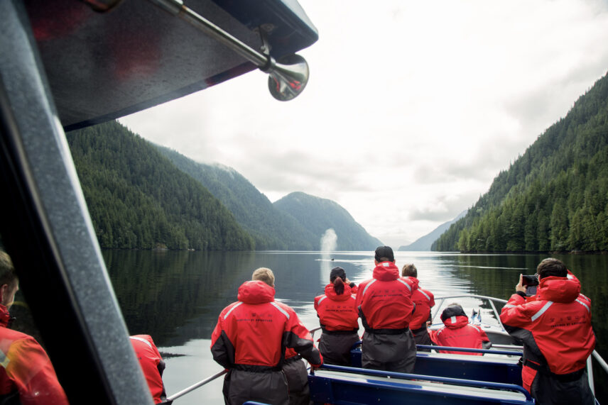 people watching a whale in spring in tofino